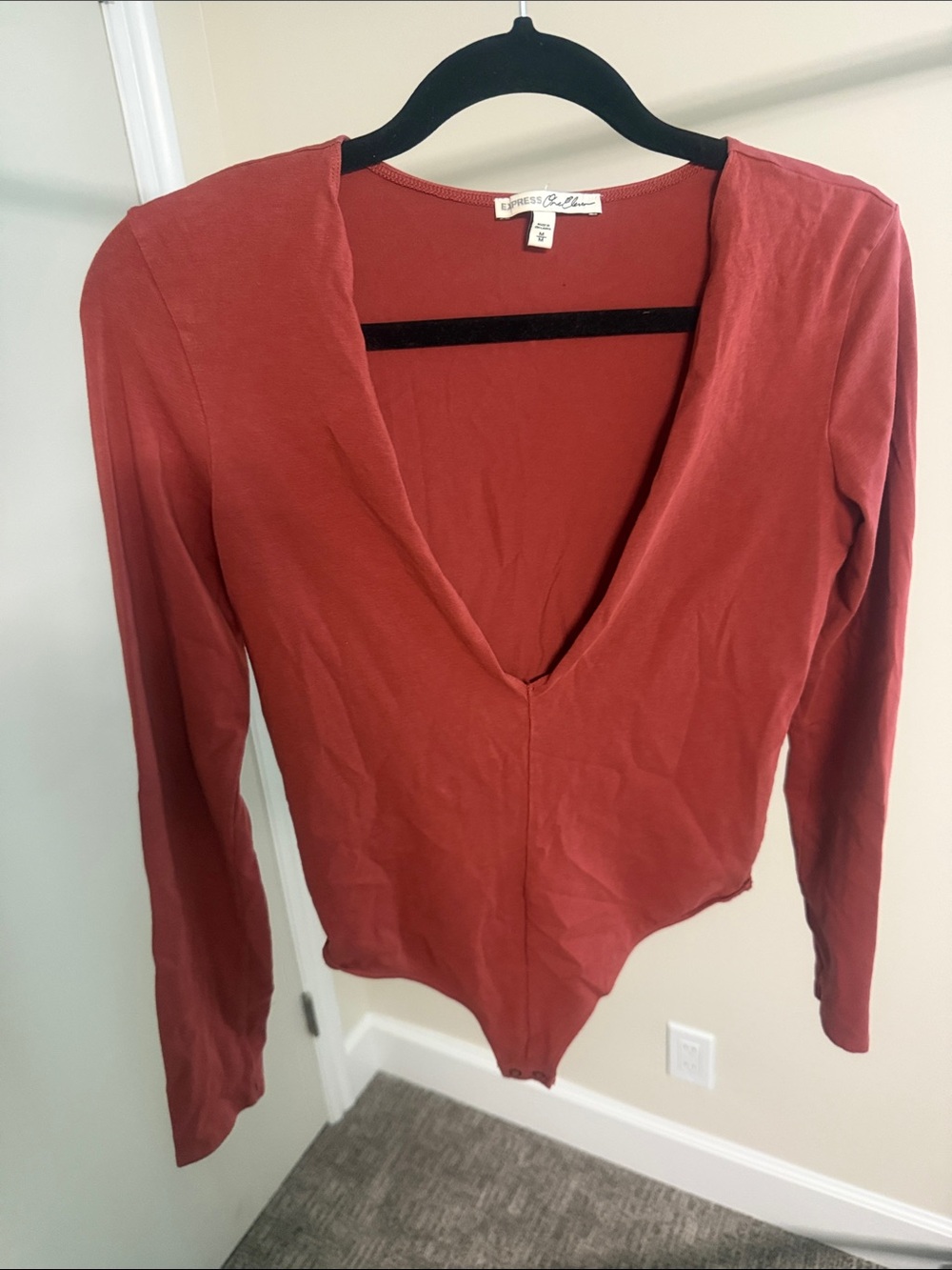 Express Rust Red V-Neck Long Sleeve Bodysuit